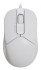 Мышь A4Tech FM12 WHITE Мышь A4Tech FM12 WHITE