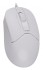 Мышь A4Tech FM12 WHITE Мышь A4Tech FM12 WHITE