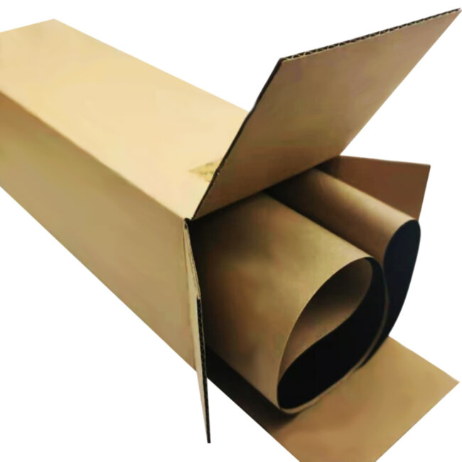 Лента переноса Ricoh D1796050 Лента переноса Ricoh D1796050