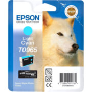 Картридж Epson C13T09654010
