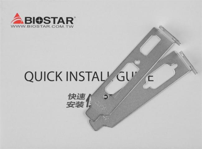 Видеокарта Biostar Microtech Netherlands B.V. VN7313TH41 Видеокарта Biostar Microtech Netherlands B.V. VN7313TH41