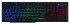 Клавиатура Oklick 780G SLAYER черный USB for gamer LED Oklick 412899 Клавиатура Oklick 780G SLAYER черный USB for gamer LED Oklick 412899
