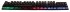 Клавиатура Oklick 780G SLAYER черный USB for gamer LED Oklick 412899 Клавиатура Oklick 780G SLAYER черный USB for gamer LED Oklick 412899