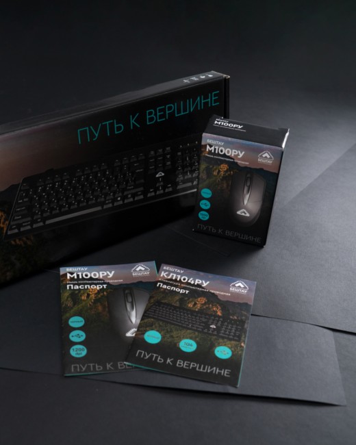 Мышь БЕШТАУ М100РУ