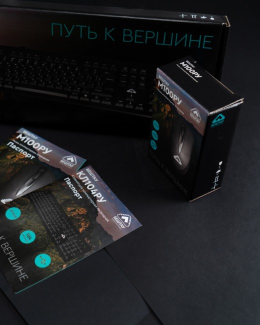 Мышь БЕШТАУ М100РУ