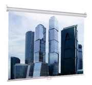 Экран Lumien LEP-100105 Экран Lumien LEP-100105