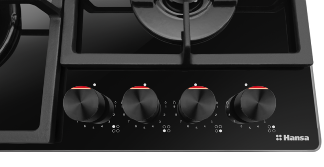 Встраиваемая варочная панель Hansa BHKS630540