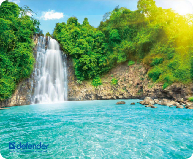 Defender Коврик для компьютерной мыши Silk Pad Nature 230x190x1.6 мм, 10 видов Defender Silk Pad Nature