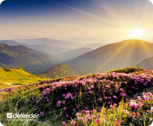 Defender Коврик для компьютерной мыши Silk Pad Nature 230x190x1.6 мм, 10 видов Defender Silk Pad Nature