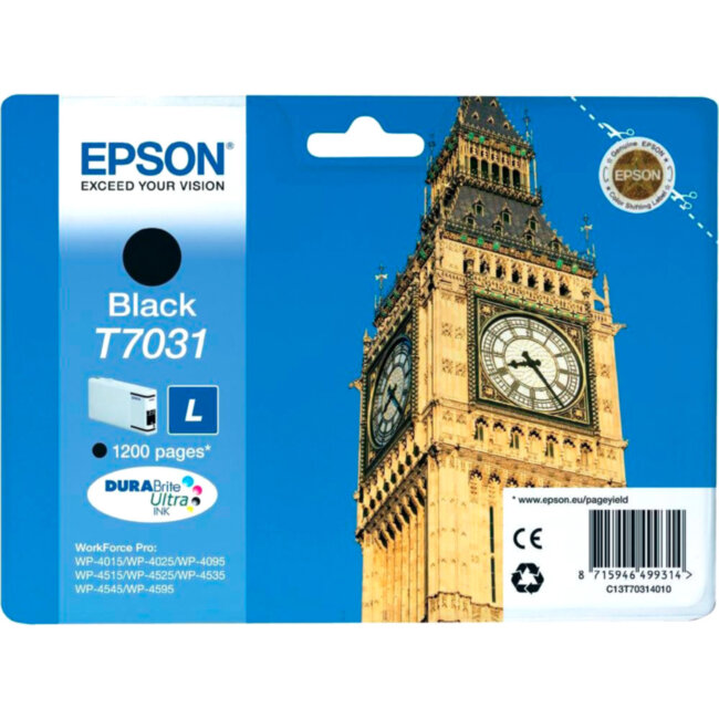 Картридж Epson C13T70314010