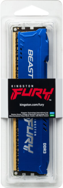 Память оперативная Kingston FURY Beast Blue KF316C10B/4