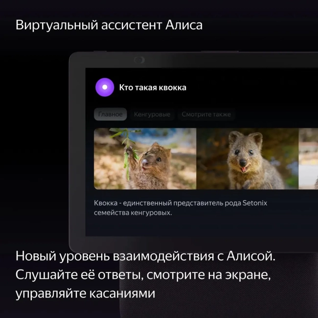 Умная колонка Умная колонка Яндекс Станция Дуо Макс, модель YNDX-00055 (красный) Умная колонка Умная колонка Яндекс Станция Дуо Макс, модель YNDX-00055 (красный)
