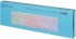 Клавиатура Oklick 550ML белый USB slim Multimedia LED Oklick 1061618 Клавиатура Oklick 550ML белый USB slim Multimedia LED Oklick 1061618