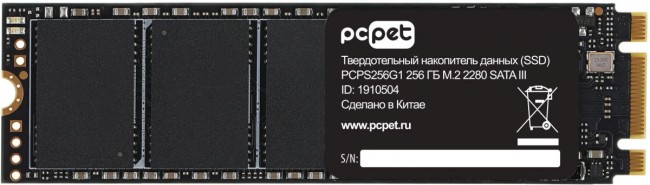 Накопитель SSD PC PET PCPS256G1