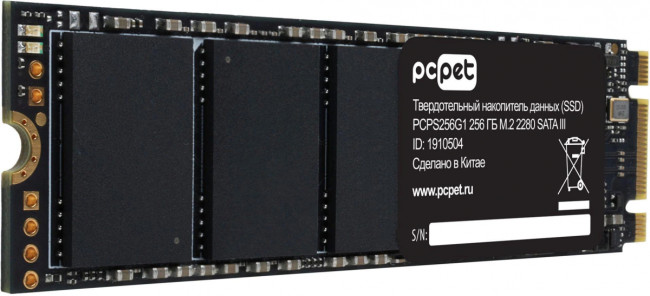 Накопитель SSD PC PET PCPS256G1
