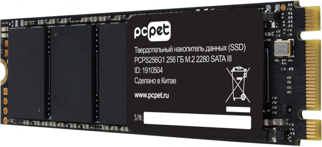 Накопитель SSD PC PET PCPS256G1
