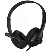 Наушники с микрофоном A4Tech Fstyler FH100U белый/черный 2м накладные USB (FH100U (PANDA)) A4Tech FH100U (PANDA) Наушники с микрофоном A4Tech Fstyler FH100U белый/черный 2м накладные USB (FH100U (PANDA)) A4Tech FH100U (PANDA)
