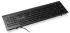 Клавиатура Oklick 155M черный USB slim (подставка для запястий) (1678057) Oklick 1678057 Клавиатура Oklick 155M черный USB slim (подставка для запястий) (1678057) Oklick 1678057