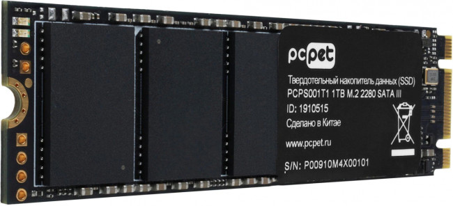 Накопитель SSD PC PET PCPS001T1