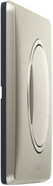 Коллекция умных устройств Celiane with NETATMO. Умный беспроводной выключатель 1-клавишный. Цвет Титан. Рамка Титан. Умный беспроводной выключатель Legrand серия Celiane with NETATMO, Цвет Титан. Выключатель 1-клавишный, Управление со смартфона, Zigbee 2,