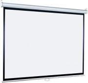 Экран Lumien LEP-100108 Экран Lumien LEP-100108