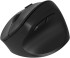 Мышь Oklick 688MW ERGO черный оптическая 2400dpi silent беспров. BT/Radio USB (2070320) Oklick 2070320 Мышь Oklick 688MW ERGO черный оптическая 2400dpi silent беспров. BT/Radio USB (2070320) Oklick 2070320