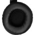 Наушники с микрофоном A4Tech Fstyler FH100U черный 2м накладные USB (FH100U (STONE BLACK)) A4Tech FH100U (STONE BLACK) Наушники с микрофоном A4Tech Fstyler FH100U черный 2м накладные USB (FH100U (STONE BLACK)) A4Tech FH100U (STONE BLACK)