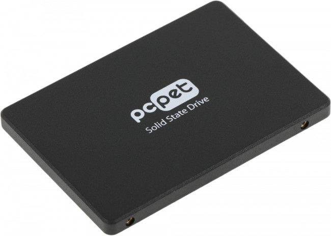Накопитель SSD PC PET PCPS256G2